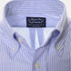 Shirt Rogers Peet Company Blue Stripes